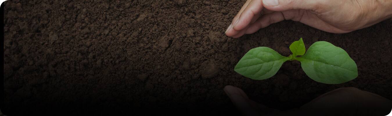 可持續發展的口腔護理產品