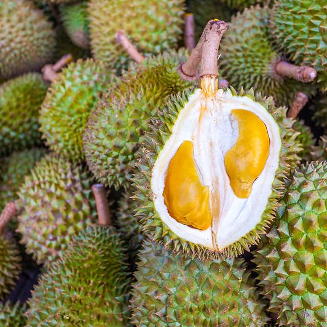 榴槤徘徊 榴槤徘徊