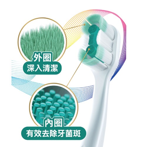 雙層刷毛設計有效清除牙菌斑